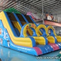 large-animal-slide-inflatable-slide-for-sale-dekada-croatia-1